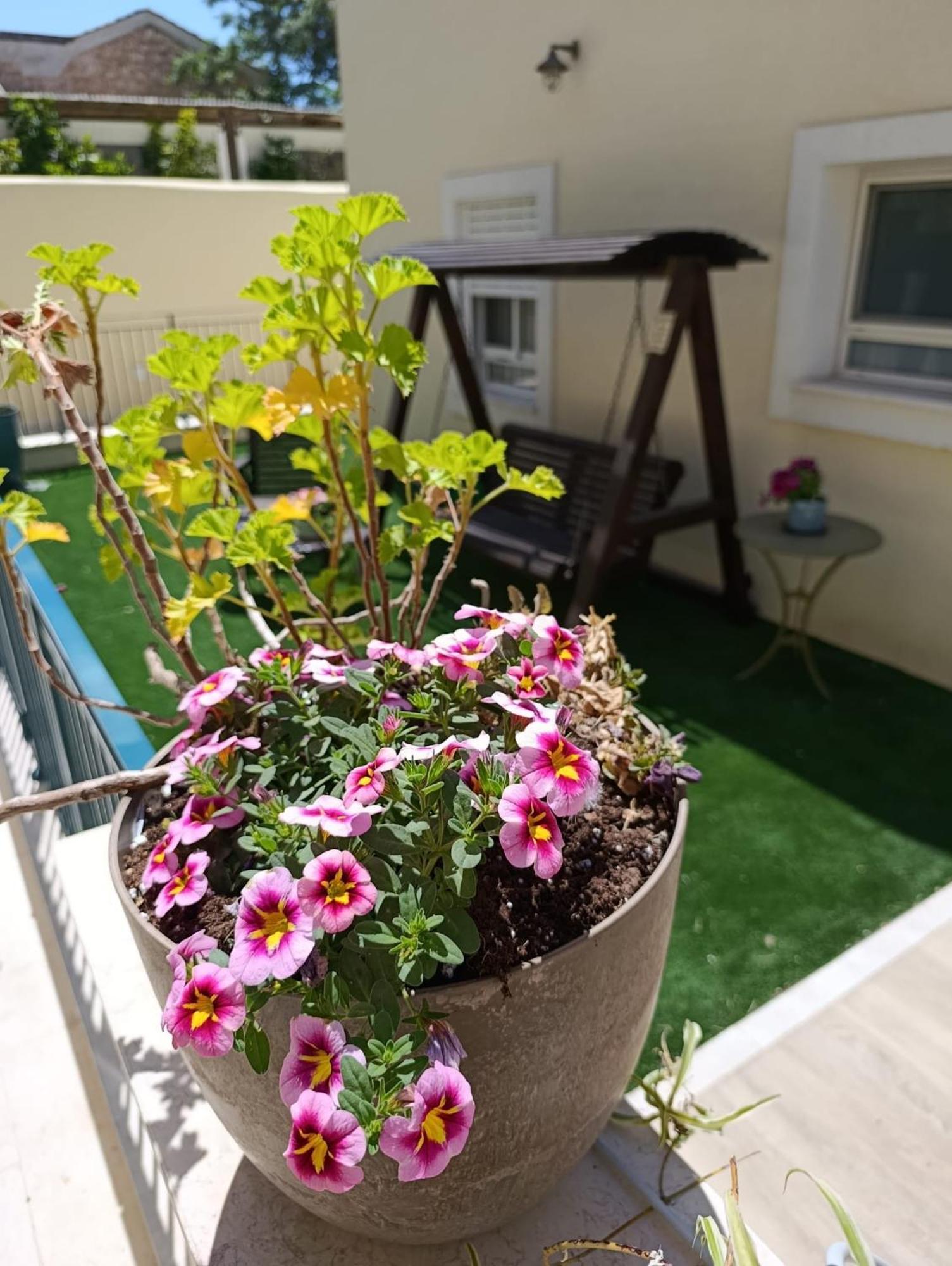 فيلا 49 Boutique زخرون يعقوب الغرفة الصورة
